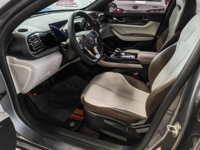 BYD Qin PLUS DM 2024 Model Honor Edition DM-i 55KM Leading Model – фото 8