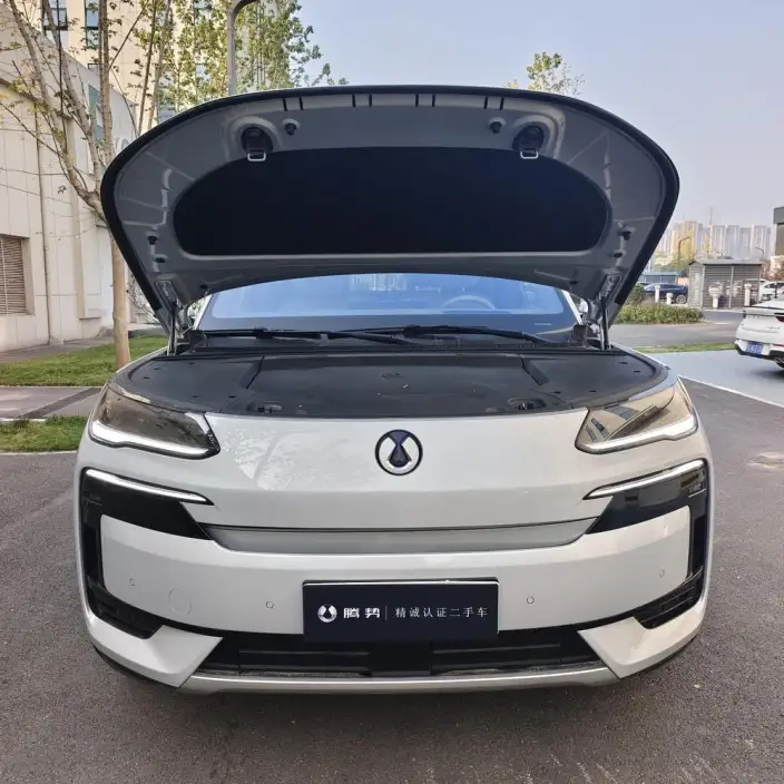 DENZA N9 DM 2025 Model Flagship Model – фото 2