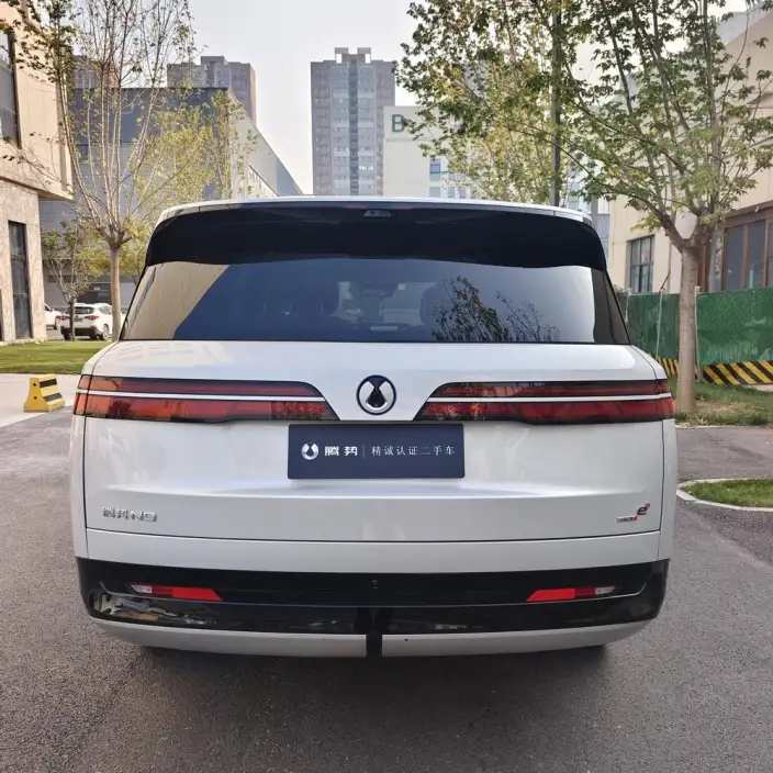 DENZA N9 DM 2025 Model Flagship Model – фото 4