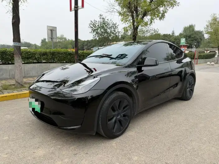 Model Y 2023 Model Rear-wheel drive version – фото 1