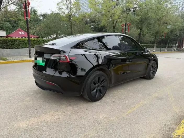 Model Y 2023 Model Rear-wheel drive version – фото 6