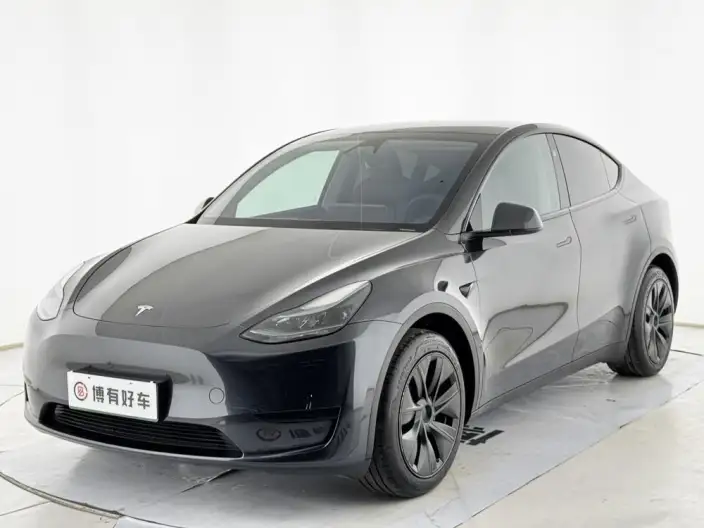 Model Y 2024 Model Rear-wheel drive version – фото 1