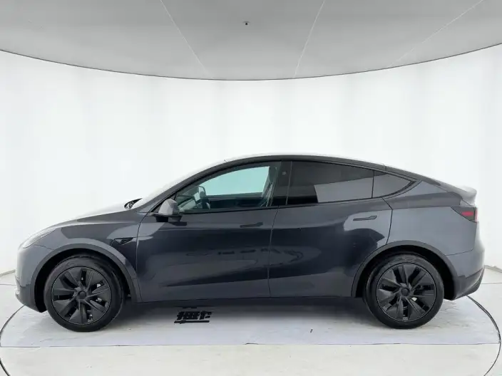 Model Y 2024 Model Rear-wheel drive version – фото 4