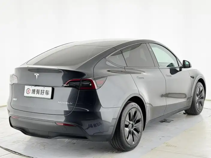 Model Y 2024 Model Rear-wheel drive version – фото 7
