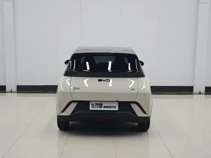 BYD Seagull 2025 Model 405KM Feixiang Edition – фото 5