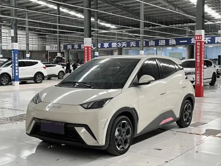 BYD Seagull 2025 Model Smart Driving Edition 305KM Free Edition – фото 1