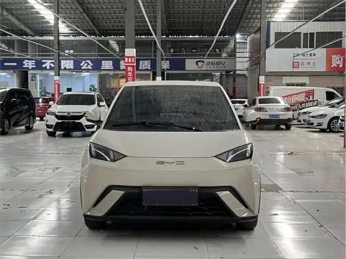BYD Seagull 2025 Model Smart Driving Edition 305KM Free Edition – фото 2