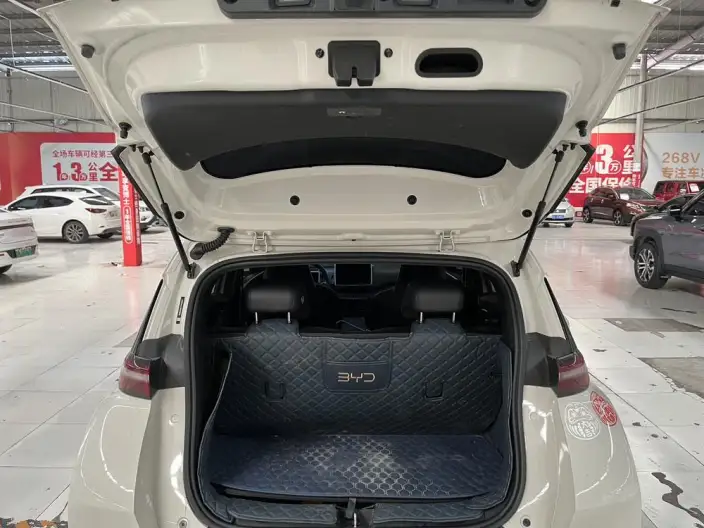 BYD Seagull 2025 Model Smart Driving Edition 305KM Free Edition – фото 10