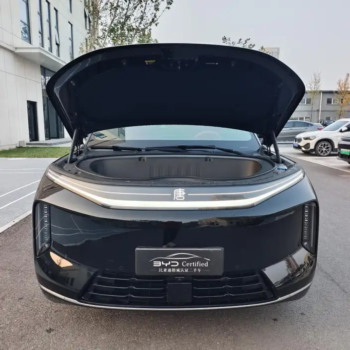 Datang EV 2026 Model 950KM Rear Drive LiDAR Flagship Model – фото 2