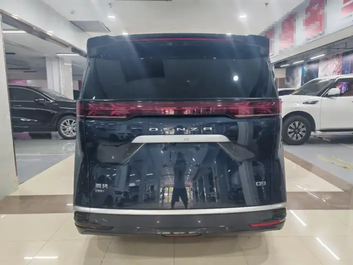 DENZA D9 DM 2022 Model 1040 Noble Model – фото 5