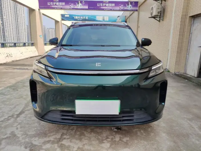 **LanDian E5 PLUS** 2025 Model 120km Touring Customized Edition – фото 2