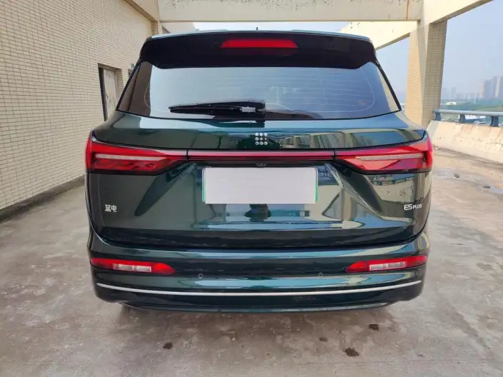 **LanDian E5 PLUS** 2025 Model 120km Touring Customized Edition – фото 5