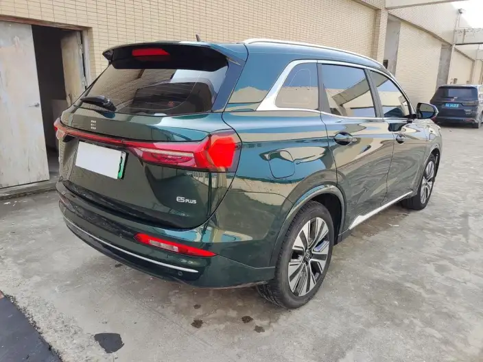 **LanDian E5 PLUS** 2025 Model 120km Touring Customized Edition – фото 6