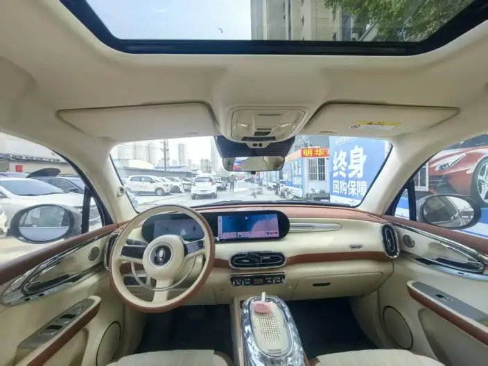 ORA Ballet Cat 2023 Model 401km Deluxe Edition – фото 7