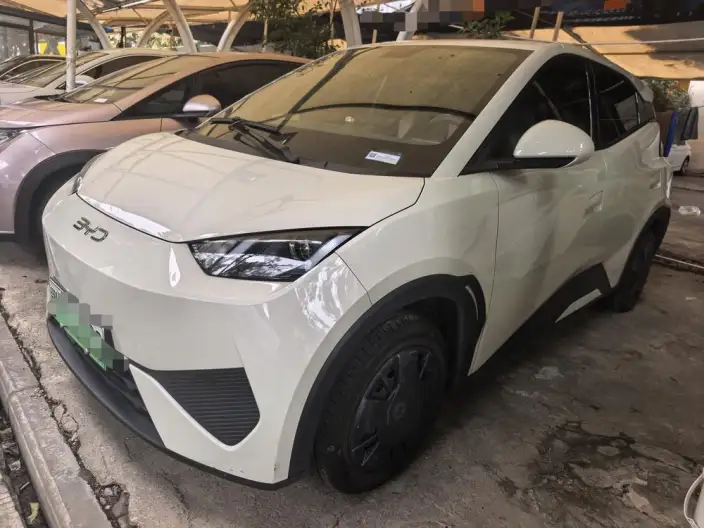 BYD Seagull 2025 Model 305KM Vitality Edition – фото 1