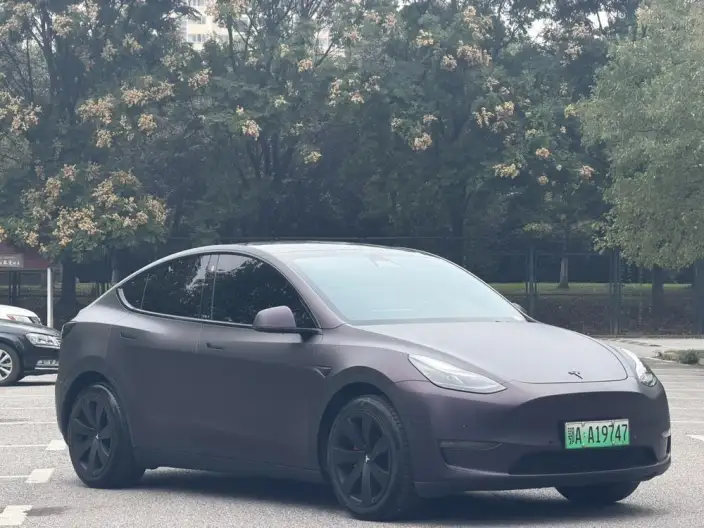Model Y 2023 Model Long Battery Life Pro All-wheel drive version
