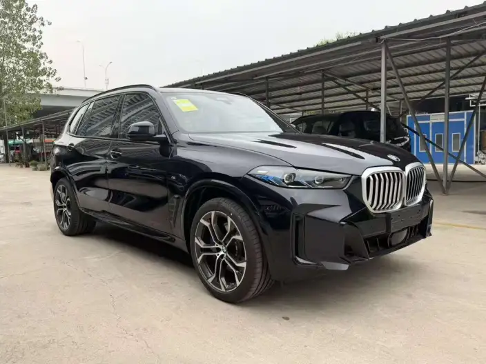 BMW X5 2026 Model Facelift xDrive40Li M Sports Night Set – фото 3