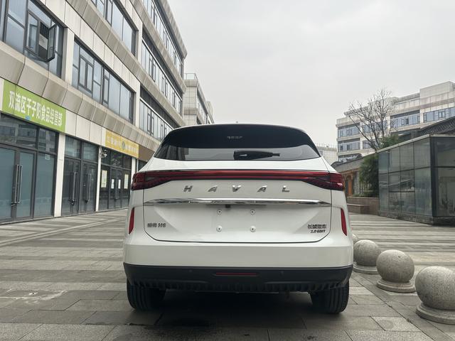 Haval H6 2021 3rd Gen 2.0T Automatic 2WD Max – фото 8