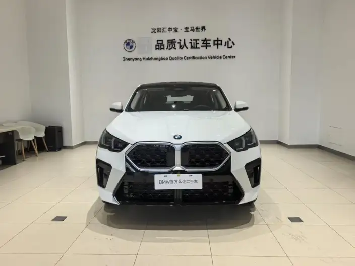 BMW X2 Imported 2025 Model sDrive25i M Sports Set – фото 2