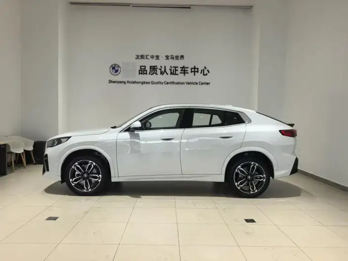 BMW X2 Imported 2025 Model sDrive25i M Sports Set – фото 3