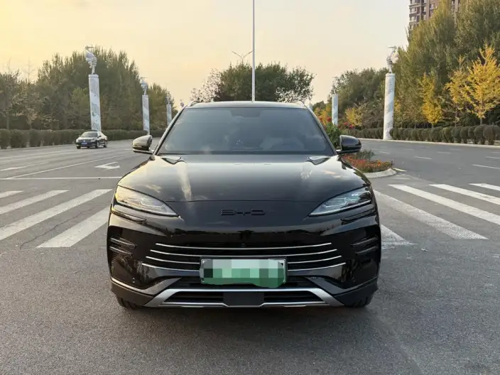 BYD Song PLUS DM 2023 Model DM-i Champion Edition 110KM Flagship Model – фото 2
