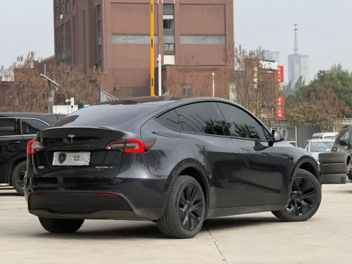 Model Y 2024 Model Rear-wheel drive version – фото 7