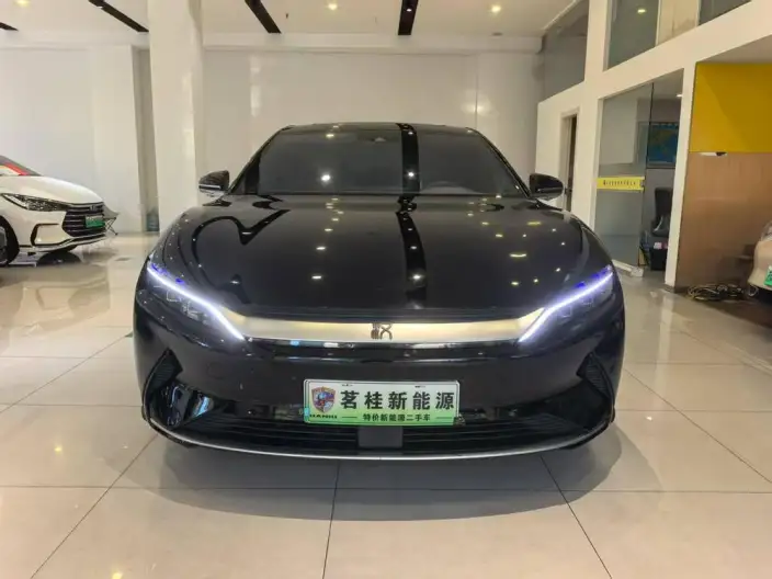 BYD Han EV 2020 Model Ultra-long Endurance Luxury Model – фото 2