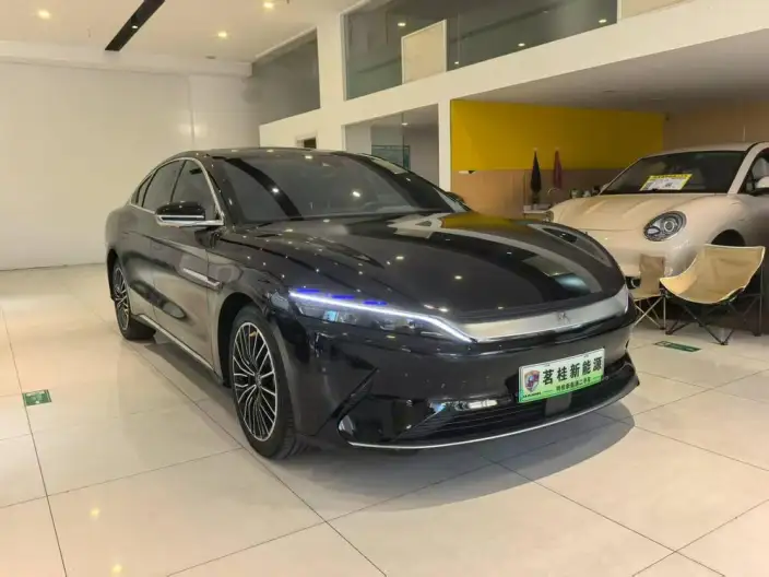 BYD Han EV 2020 Model Ultra-long Endurance Luxury Model – фото 3