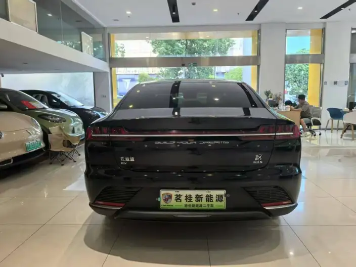 BYD Han EV 2020 Model Ultra-long Endurance Luxury Model – фото 5