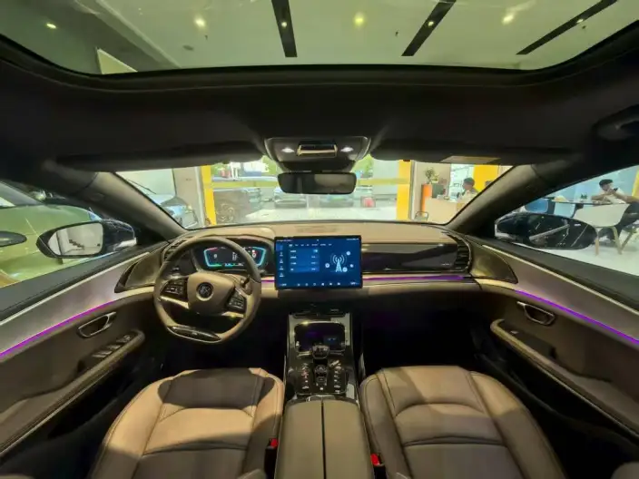 BYD Han EV 2020 Model Ultra-long Endurance Luxury Model – фото 8