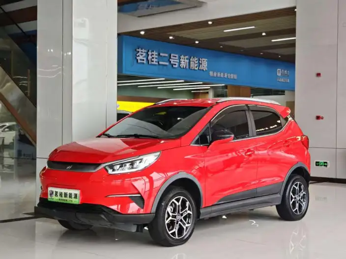 Yuan Pro 2021 Model 401KM Luxury Model – фото 1