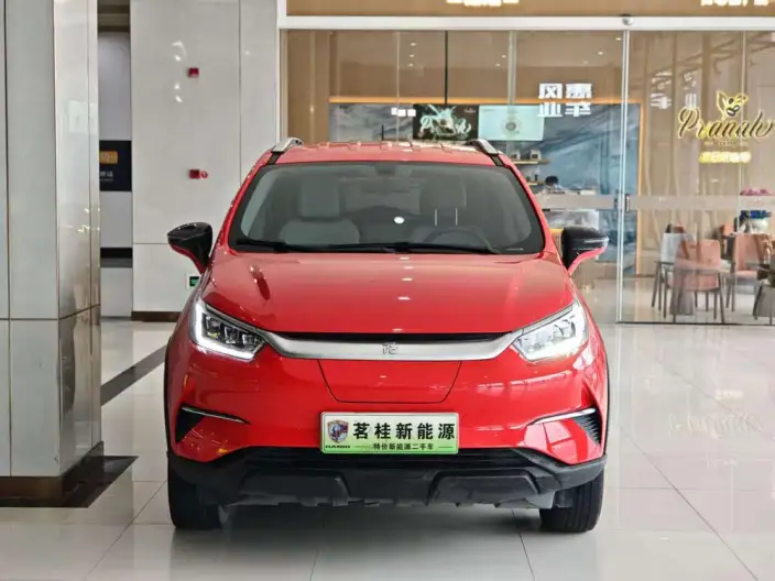Yuan Pro 2021 Model 401KM Luxury Model – фото 2