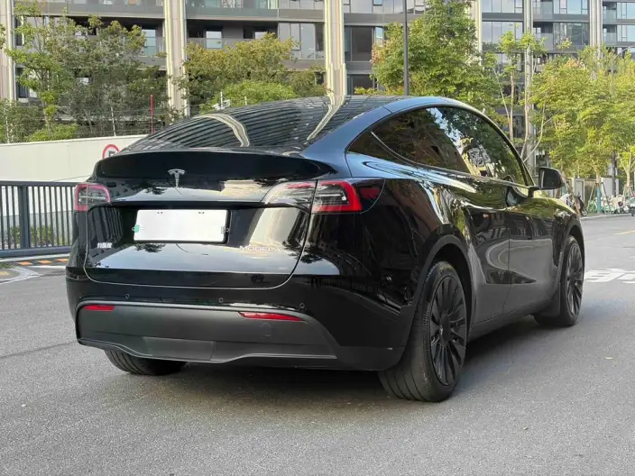 Model Y 2022 Model Facelift Rear-wheel drive version – фото 5