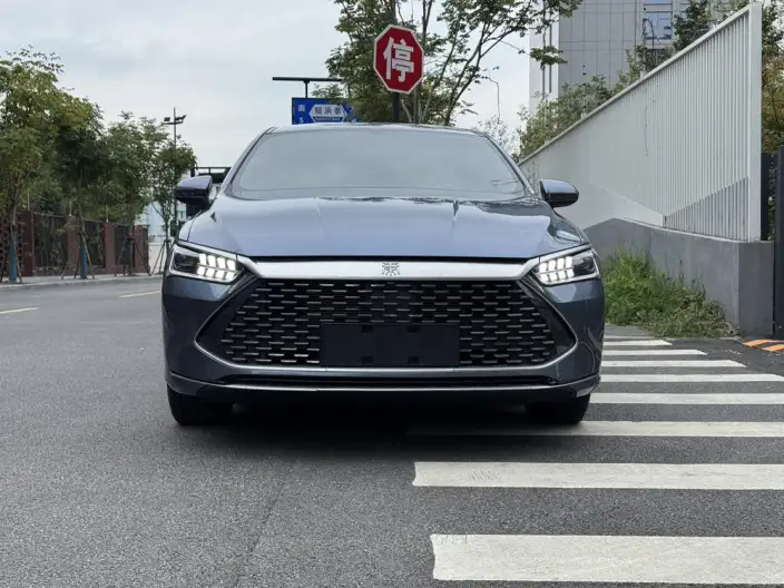 BYD Qin PLUS DM 2024 Model Honor Edition DM-i 55KM Leading Model – фото 2