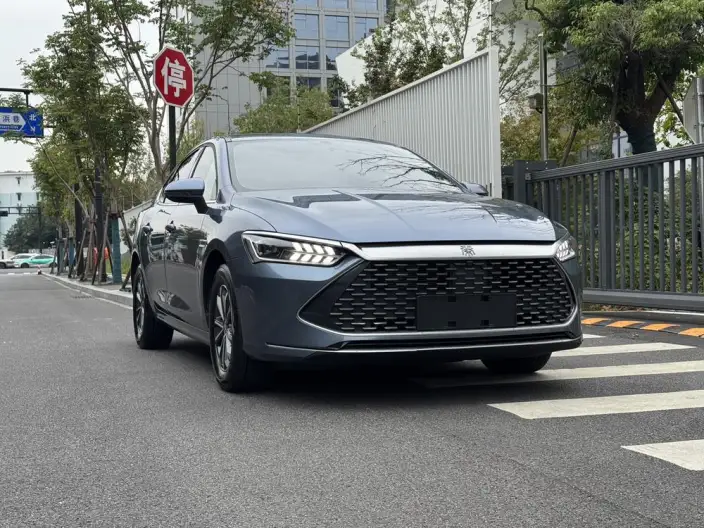 BYD Qin PLUS DM 2024 Model Honor Edition DM-i 55KM Leading Model – фото 3