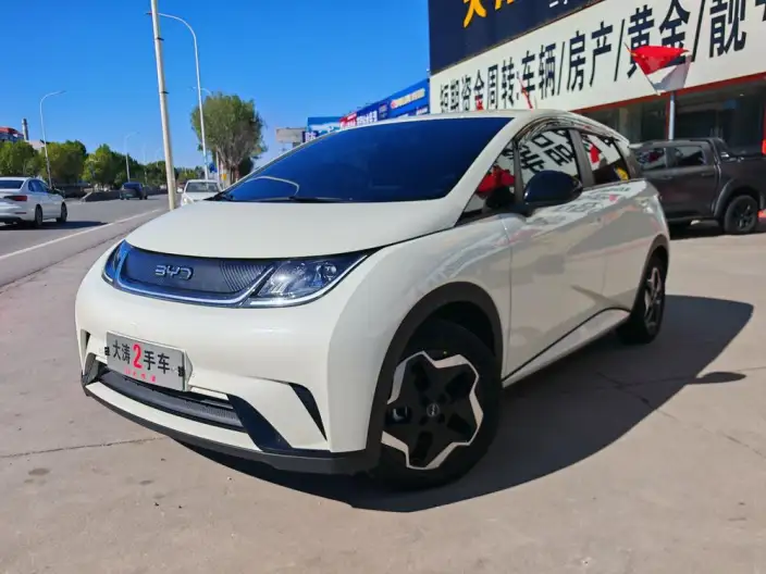 BYD Dolphin 2025 Model 420KM Vitality Edition – фото 1