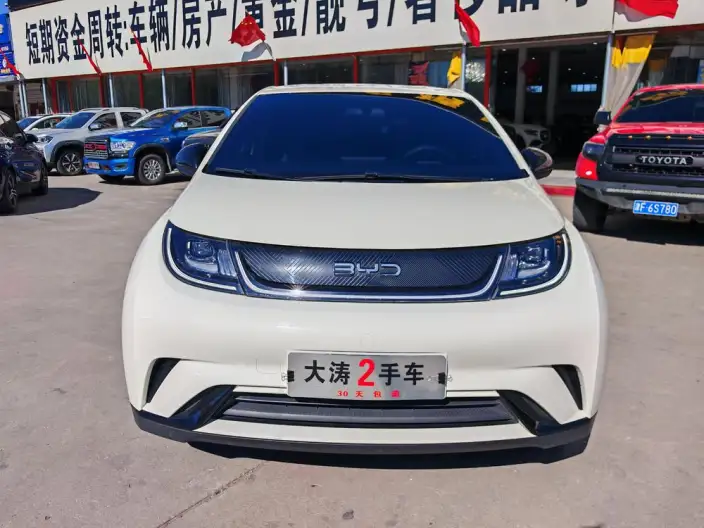 BYD Dolphin 2025 Model 420KM Vitality Edition – фото 2
