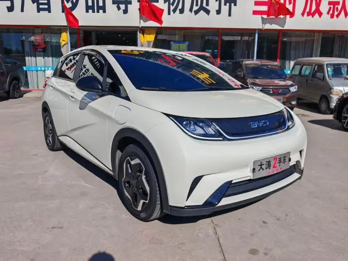 BYD Dolphin 2025 Model 420KM Vitality Edition – фото 3