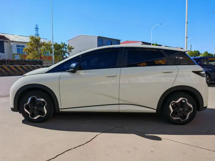 BYD Dolphin 2025 Model 420KM Vitality Edition – фото 4