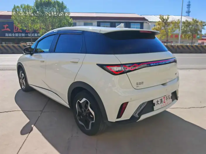 BYD Dolphin 2025 Model 420KM Vitality Edition – фото 5