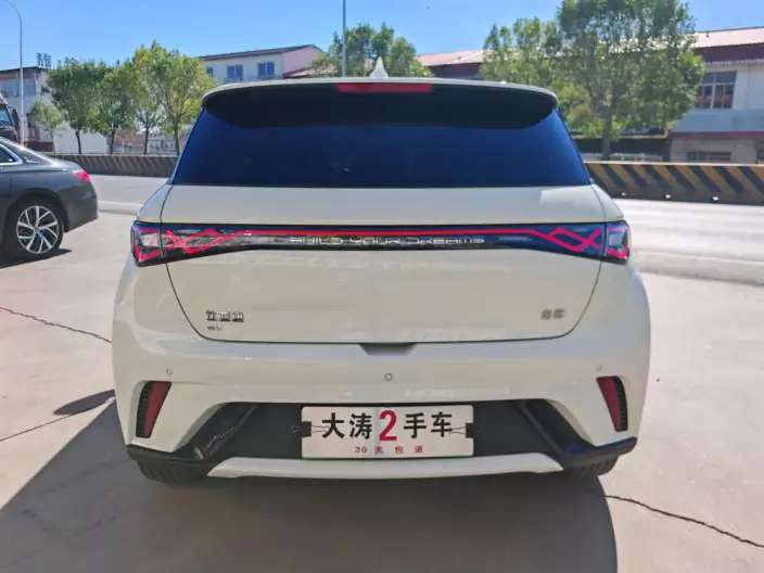 BYD Dolphin 2025 Model 420KM Vitality Edition – фото 6