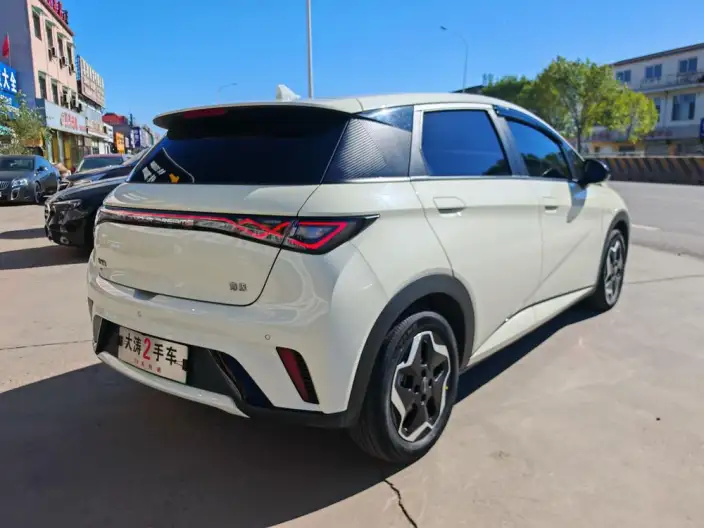 BYD Dolphin 2025 Model 420KM Vitality Edition – фото 7