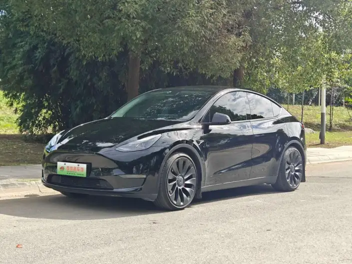 Model Y 2022 Model Performance High performance All-wheel drive version