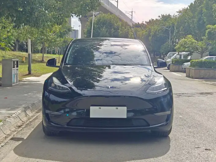 Model Y 2022 Model Performance High performance All-wheel drive version