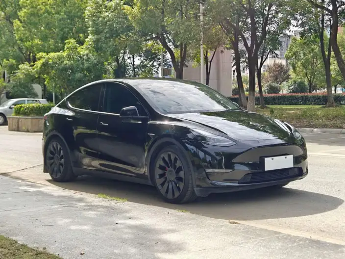 Model Y 2022 Model Performance High performance All-wheel drive version