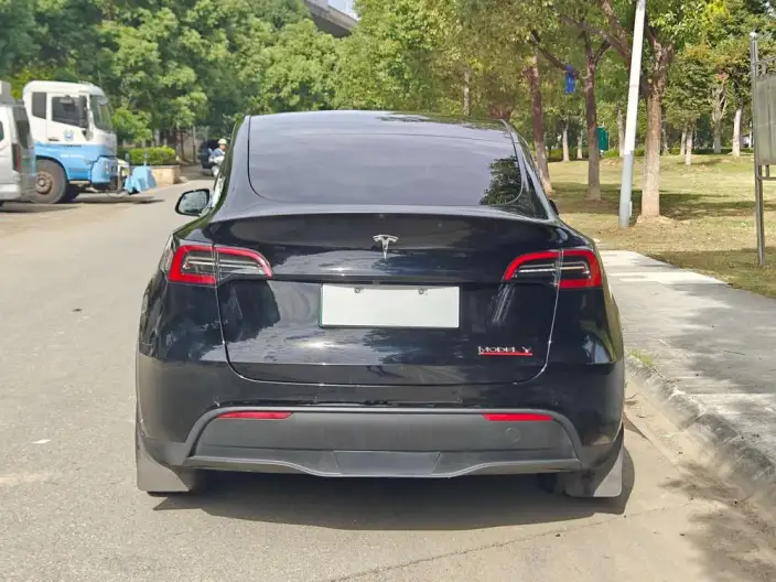 Model Y 2022 Model Performance High performance All-wheel drive version – фото 5