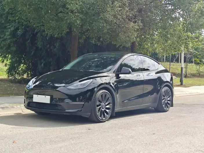 Model Y 2022 Model Performance High performance All-wheel drive version – фото 10