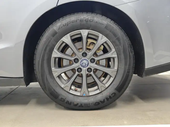 QinL DM 2025 Model Smart Driving Edition DM-i 80KM Leading Model – фото 9