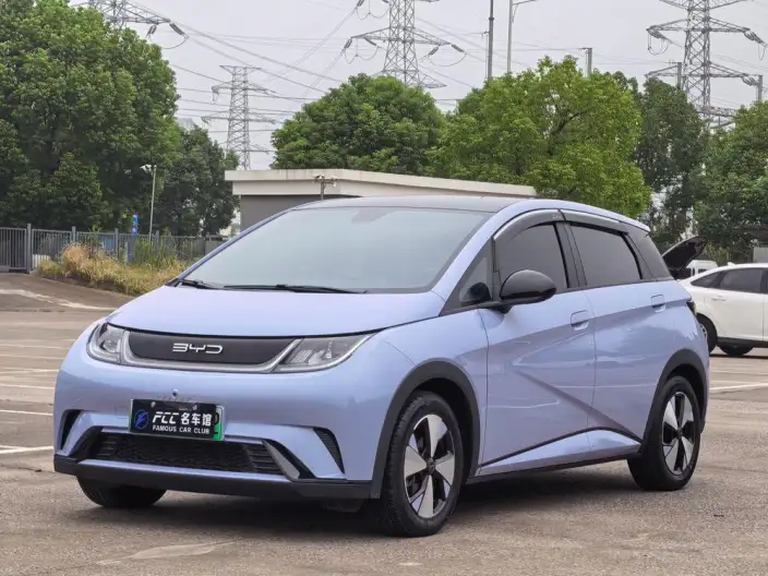 BYD Dolphin 2023 Model Fashion Edition