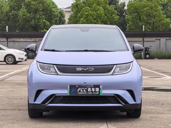 BYD Dolphin 2023 Model Fashion Edition